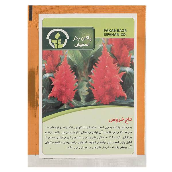 بذر گل تاج خروس پاکان بذر، Pakan Bazr Amaranth Flower Seeds