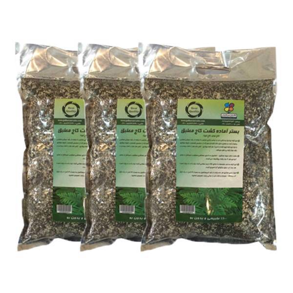 بستر آماده کشت گیاه کاج مطبق 2 کیلوگرمی گلباران سبز بسته 3 عددی، Golbarane Sabz Bastare Kesht Norfolk Island Pine 2 Kg Fertilizer Pack Of 3