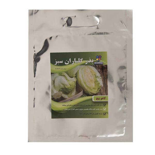 بذر کاهو پیچ گلباران سبز، Golbaranesabz Lettuce Seeds