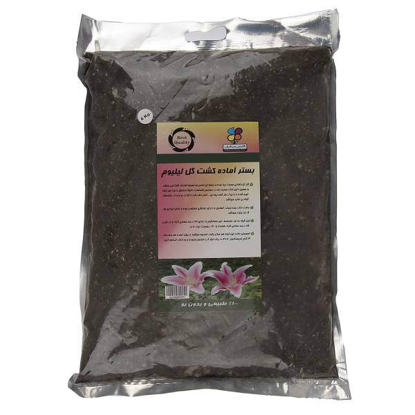 بستر آماده کشت گل لیلیوم گلباران سبز بسته 4 کیلوگرمی، Golbarane Sabz Bastare Kesht Lilium Flower 4 Kg Fertilizer