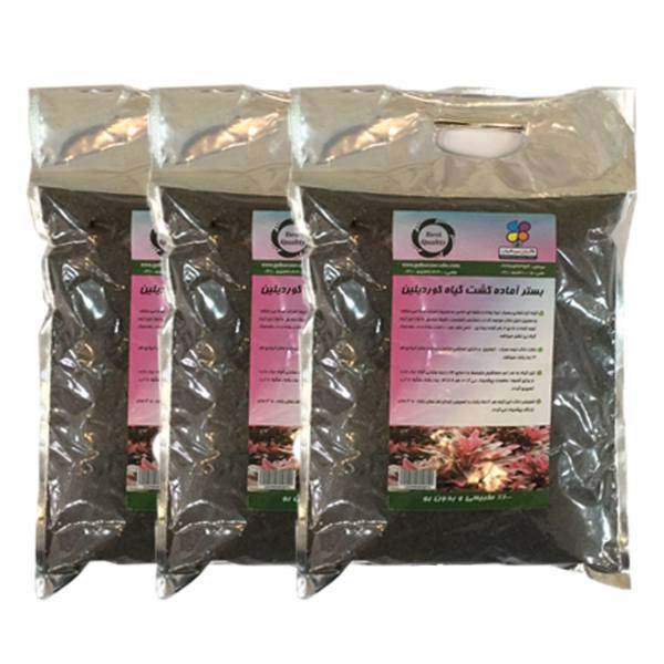 بستر آماده کشت گیاه کوردیلین 2 کیلوگرمی گلبارن سبز بسته 3 عددی، Golbarane Sabz Bastare Kesht Cordyline 2 Kg Fertilizer Pack Of 3