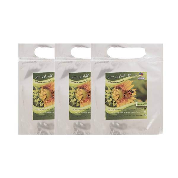 مجموعه بذر گل آفتابگردان زینتی گلباران سبز بسته 3 عددی، Golbaranesabz Ornamental Sunflowers Flower Seeds pack of 3