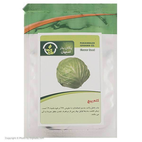 بذر کلم پیچ پاکان بذر، Pakan Bazr Cabbage Seeds