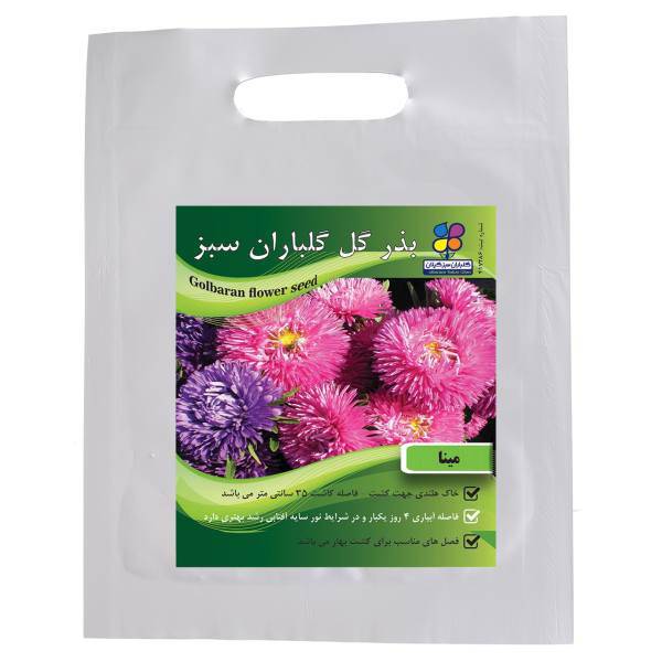 بذر گل مینا گلباران سبز، Golbaranesabz Bellis Flower Seeds