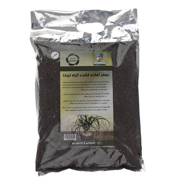 بستر آماده کشت گیاه لیندا گلباران سبز بسته 2 کیلوگرمی، Golbarane Sabz Bastare Kesht Linda 2 Kg Fertilizer