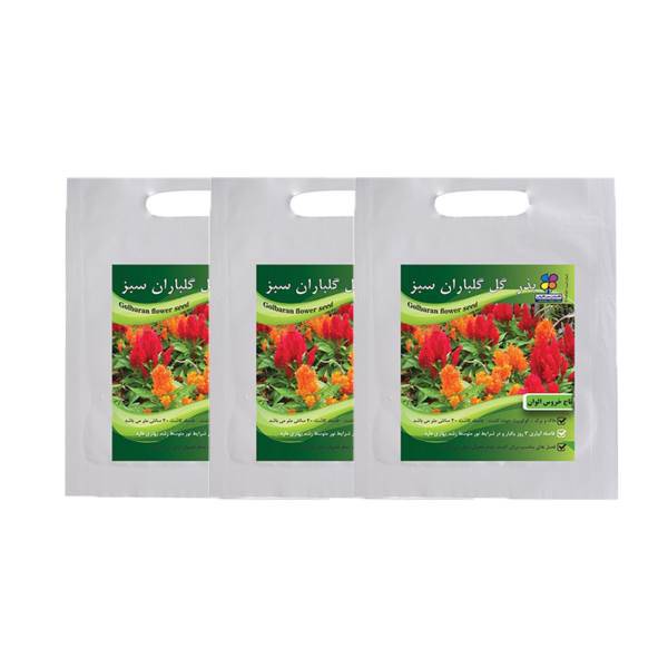 مجموعه بذر گل تاج خروس گلباران سبز بسته 3 عددی، Golbaranesabz Amaranth Flower Seeds Pack Of 3