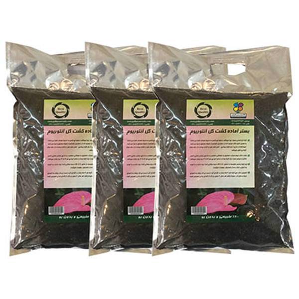 بستر آماده کشت گل آنتوریوم 2 کیلوگرمی گلباران سبز بسته سه عددی، Golbarane Sabz Bastare Kesht Anthorium Flower 2kg Fertilizer Pack Of 3