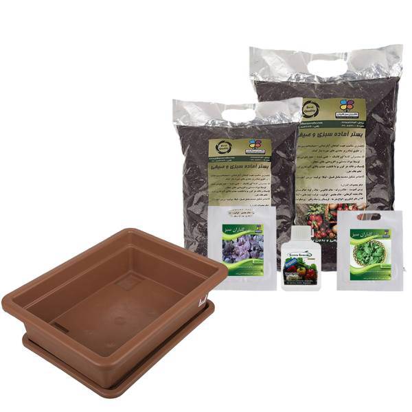 مجموعه کاشت سبزی ریحان گلباران سبز، Golbaranesabz Basil Gardening Pack