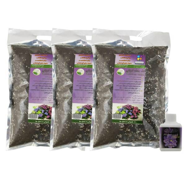 مجموعه خاک بنفشه آفریقایی گلباران سبز، Golbaranesabz African Violet Soil Pack