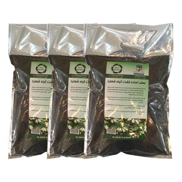 بستر آماده کشت گیاه شفلرا 2 کیلوگرمی گلباران سبز بسته سه عددی، Golbarane Sabz Bastare Kesht Sheflera 2kg Fertilizer Pack Of 3