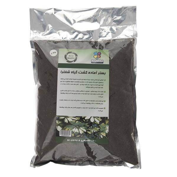 بستر آماده کشت گیاه شفلرا گلباران سبز بسته 2 کیلوگرمی، Golbarane Sabz Bastare Kesht Shafalra 2 Kg Fertilizer