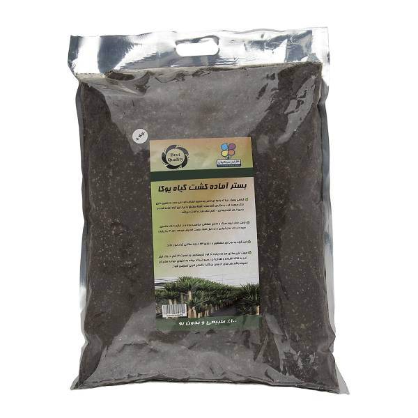 بستر آماده کشت گیاه یوکا گلباران سبز بسته 4 کیلوگرمی، Golbarane Sabz Bastare Kesht Yucca 4 Kg Fertilizer