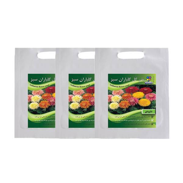 مجموعه بذر گل داوودی گلباران سبز بسته 3 عددی، Golbaranesabz Chrysanthemums Flower Seeds Pack Of 3