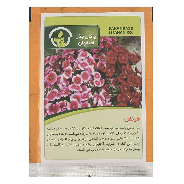 بذر قرنفل پاکان بذر، Pakan Bazr Dianthus Barbatus Flower Seeds