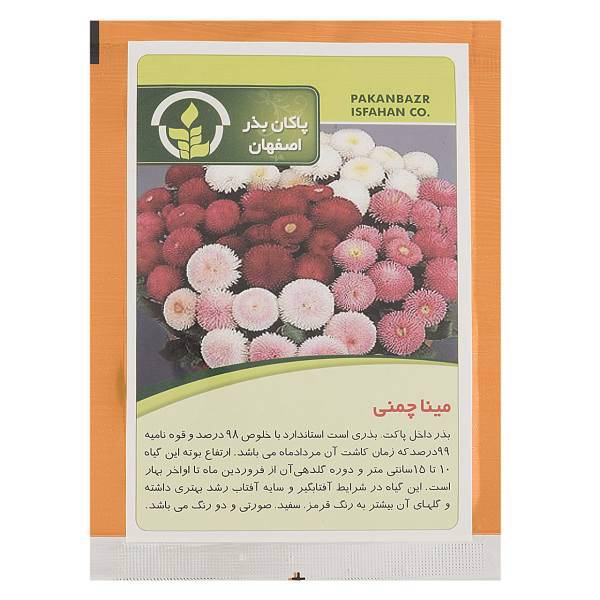 بذر گل مینا چمنی پاکان بذر، Pakan Bazr Marguerite Flower Seeds