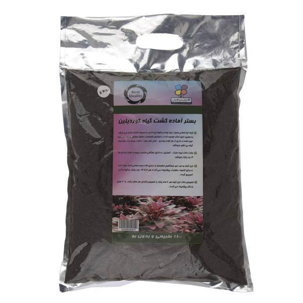 بستر آماده کشت گیاه کوردیلین گلباران سبز بسته 2 کیلوگرمی، Golbarane Sabz Bastare Kesht Cordyline 2 Kg Fertilizer