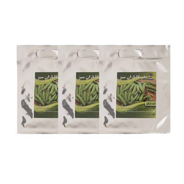 مجموعه بذر نخود فرنگی گلباران سبز بسته 3 عددی، Golbaranesabz Peas Reyna Seeds Pack Of 3