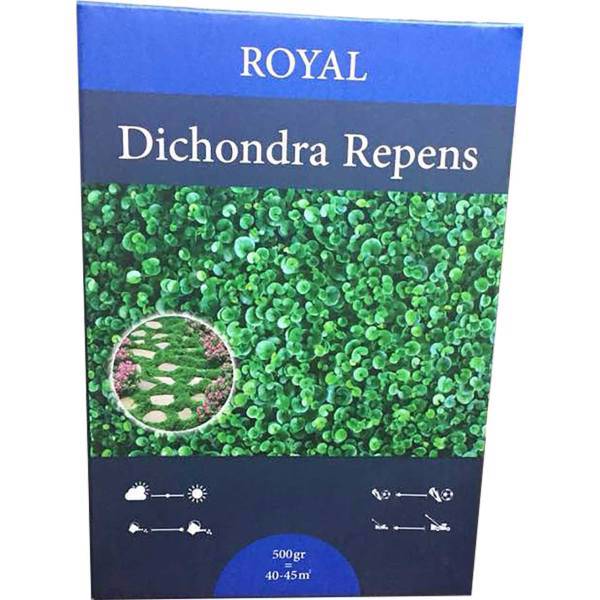 بذر شبدر دایکوندرا مقدار 500 گرمی، Dichondra repens 500 gr