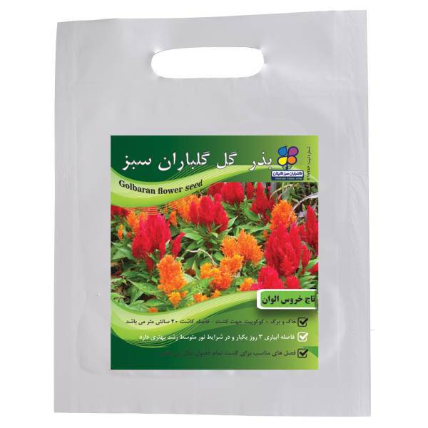 بذر گل تاج خروس الوان گلباران سبز، Golbaranesabz Amaranth Flower Seeds