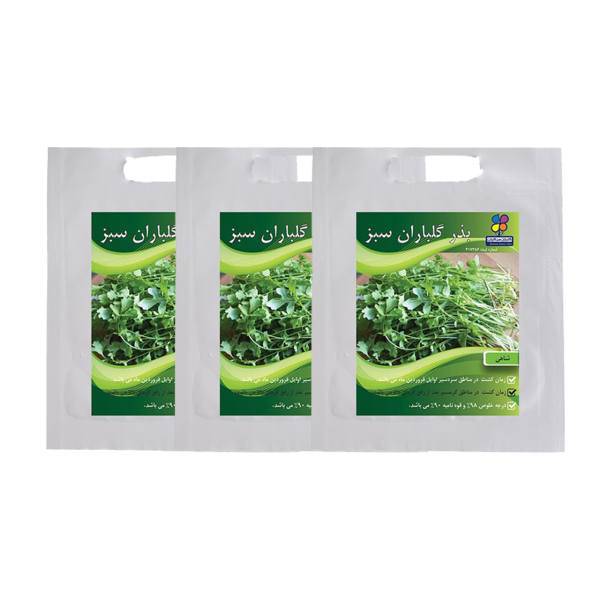 مجموعه بذر شاهی گلباران سبز بسته 3 عددی، Golbaranesabz Garden Cress Seeds Pack Of 3