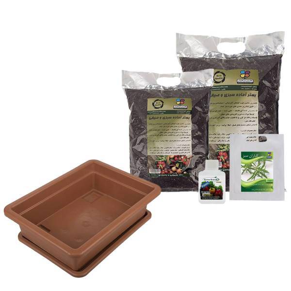 مجموعه کاشت سبزی مرزه گلباران سبز، Golbaranesabz Savory Gardening Pack