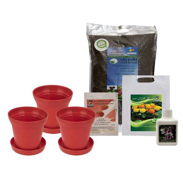 مجموعه کاشت گل جعفری گلباران سبز، Golbaranesabz Marigold Flower Gardening Pack