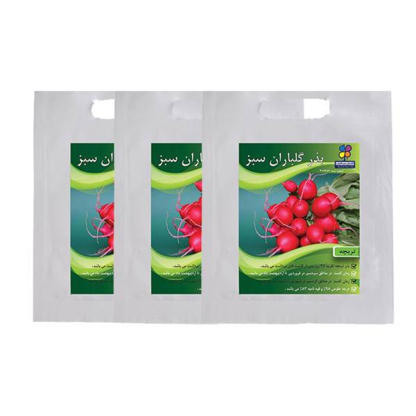 مجموعه بذر تربچه گلباران سبز بسته 3 عددی، Golbaranesabz Radish Seeds Pack Of 3