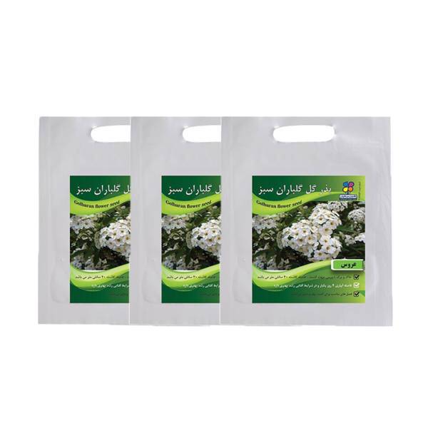 مجموعه بذر گل عروس گلباران سبز بسته 3 عددی، Golbaranesabz Aroos Flower Seeds Pack Of 3