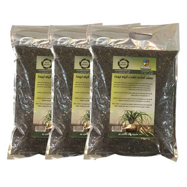 بستر آماده کشت گیاه لیندا 2 کیلوگرمی گلباران سبز بسته سه عددی، Golbarane Sabz Bastare Kesht Linda 2 Kg Fertilizer Pack Of 3