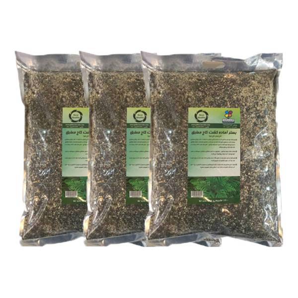 بستر آماده کشت گیاه کاج مطبق4 کیلوگرمی گلباران سبز بسته 3 عددی، Golbarane Sabz Bastare Kesht Norfolk Island Pine 4 Kg Fertilizer Pack Of 3