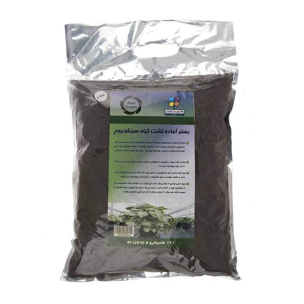 بستر آماده کشت گیاه سینگونیوم گلباران سبز بسته 2 کیلوگرمی، Golbarane Sabz Bastare Kesht Syngonium 2 Kg Fertilizer