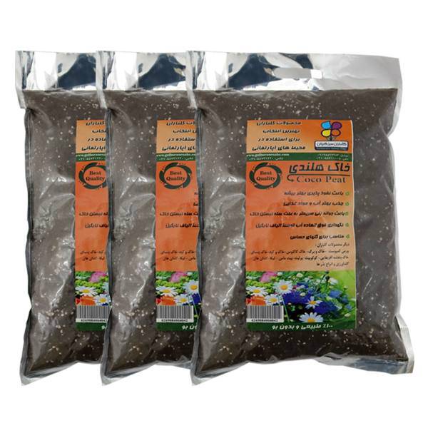 خاک هلندی گلبارن سبز 4 کیلوگرمی بسته 3 عددی، Golbaranesabz Holandi 4Kg Pack Of 3