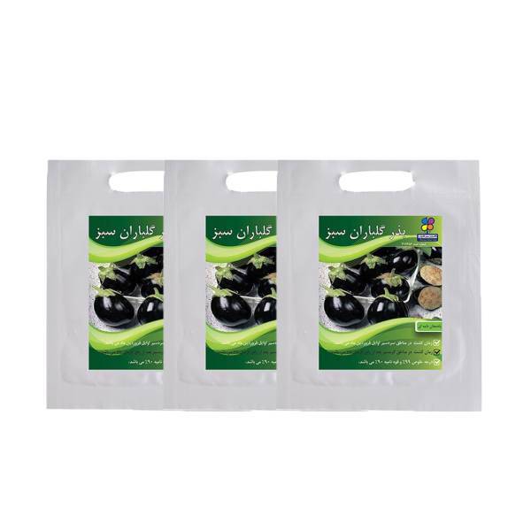 مجموعه بذر بادمجان دلمه ای گلباران سبز بسته 3 عددی، Golbaranesabz Dolma Eggplant Seeds Pack Of 3