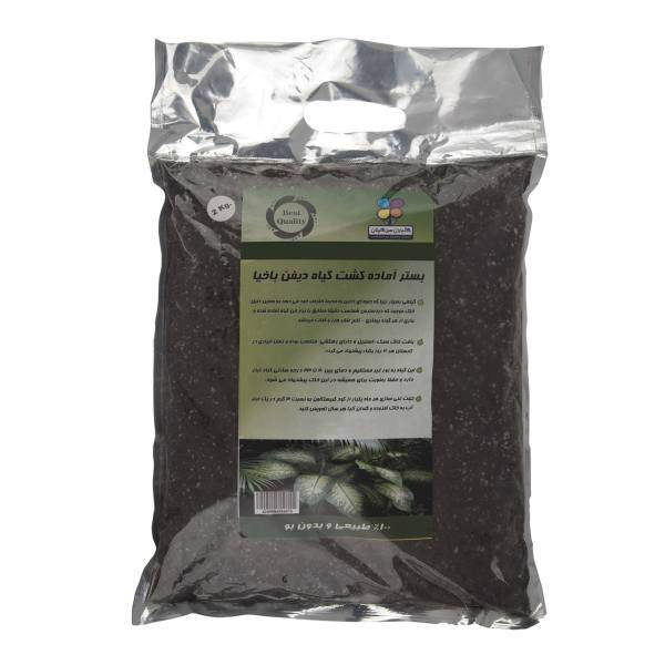 بستر آماده کشت گیاه دیفن باخیا گلباران سبز بسته 2 کیلوگرمی، Golbarane Sabz Bastare Kesht Dieffenbachia 2 Kg Fertilizer