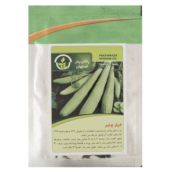 بذر خیار چنبر پاکان بذر، Pakan Bazr Armenian Cucumber Seeds