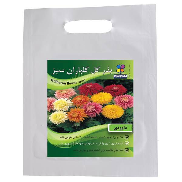 بذر گل داوودی گلباران سبز، Golbaranesabz Chrysanthemums Flower Seeds