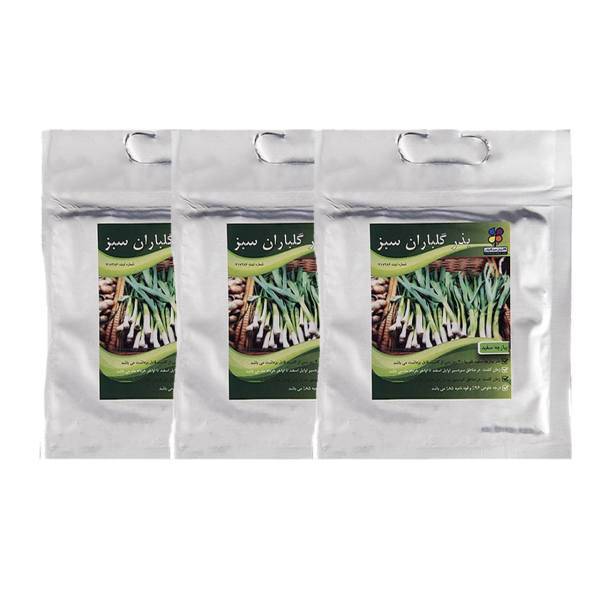 مجموعه بذر پیازچه سفید گلباران سبز بسته 3 عددی، Golbaranesabz White Scallion Seeds Pack Of 3