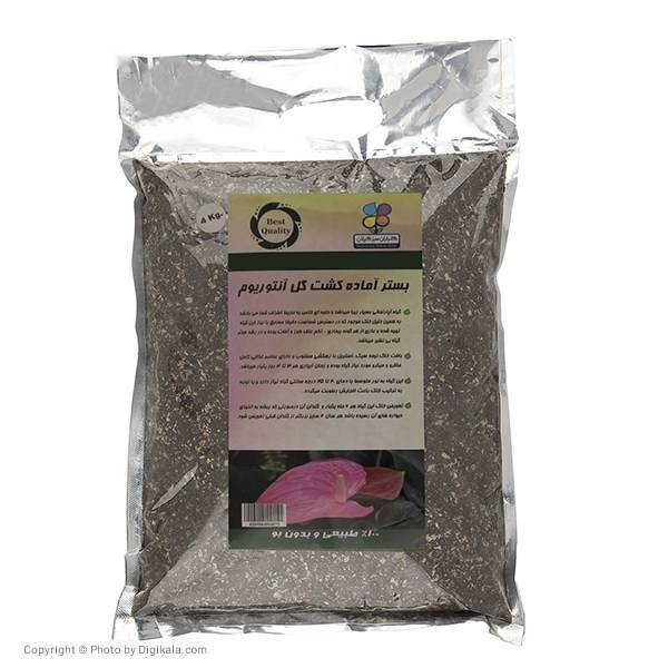 بستر آماده کشت گیاه آنتوریوم گلباران سبز بسته 4 کیلوگرمی، Golbarane Sabz Bastare Kesht Anthorium 4 Kg Fertilizer