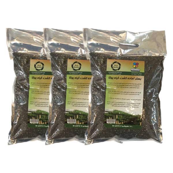 بستر آماده کشت گیاه یوکا 2 کیلوگرمی گلبارن سبز بسته 3 عددی، Golbarane Sabz Bastare Kesht Yucca 2 Kg Fertilizer Pack Of 3