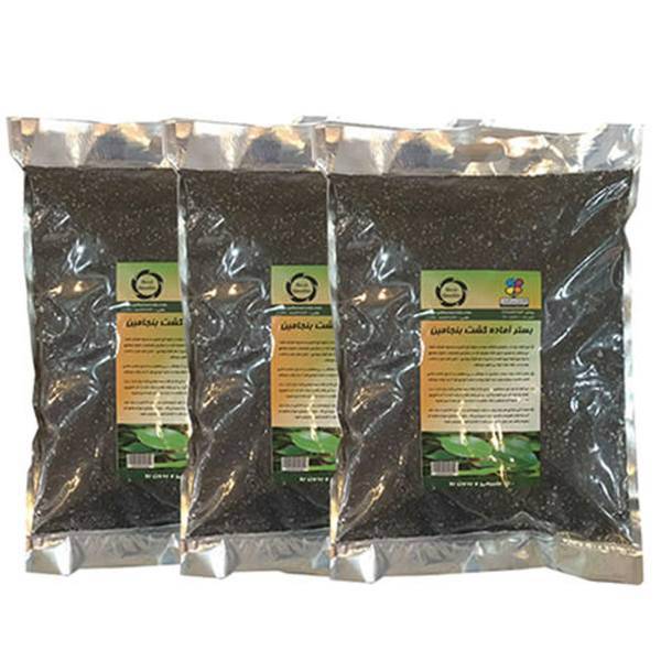 بستر آماده کشت گیاه بنجامین 4 کیلوگرمی گلباران سبز بسته سه عددی، Golbarane Sabz Bastare Kesht Benjamin 4kg Fertilizer Pack Of 3