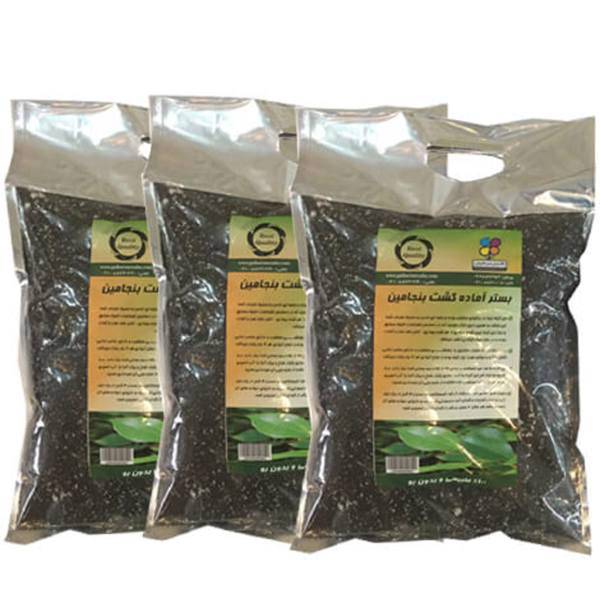 بستر آماده کشت گیاه بنجامین 2 کیلوگرمی گلباران سبز بسته سه عددی، Golbarane Sabz Bastare Kesht Benjamin 2kg Fertilizer Pack Of 3