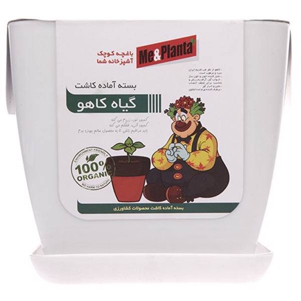 مجموعه آماده کاشت می اند پلنتا گیاه کاهو، Me And Planta Lettuce Gardening Pack