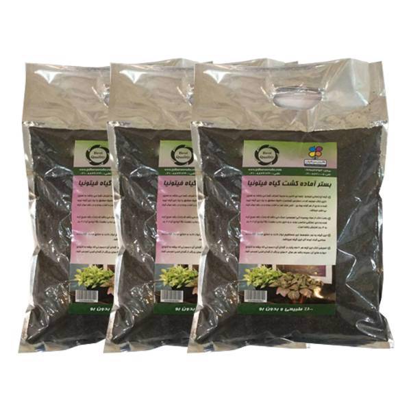 بستر آماده کشت گیاه فیتونیا 2 کیلوگرمی گلباران سبز بسته سه عددی، Golbarane Sabz Bastare Kesht Fittonia 2Kg Fertilizer Pack Of 3