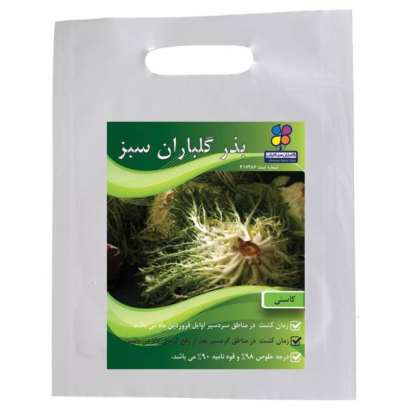 بذر کاسنی گلباران سبز، Golbaranesabz Chicory Seeds