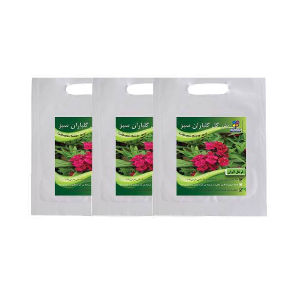 مجموعه بذر گل قرنفل گلباران سبز بسته 3 عددی، Golbaranesabz Dianthus Barbatus Flower Seeds Pack Of 3