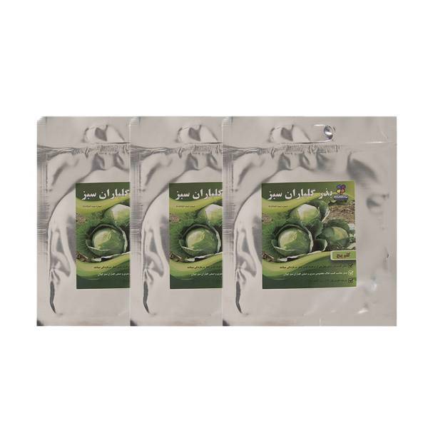 مجموعه بذر کلم پیچ گلباران سبز بسته 3 عددی، Golbaranesabz Cabbage Seeds Pack Of 3