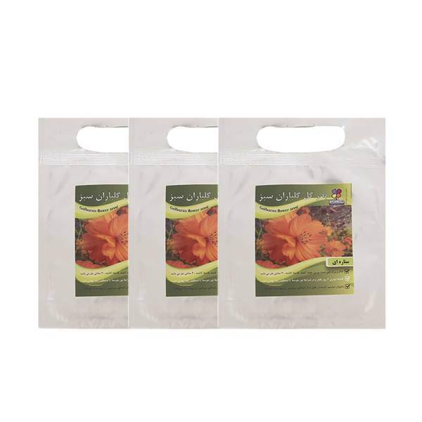 مجموعه بذر گل ستاره ای گلباران سبز بسته 3 عددی، Golbaranesabz Aster Flower Seeds Pack Of 3