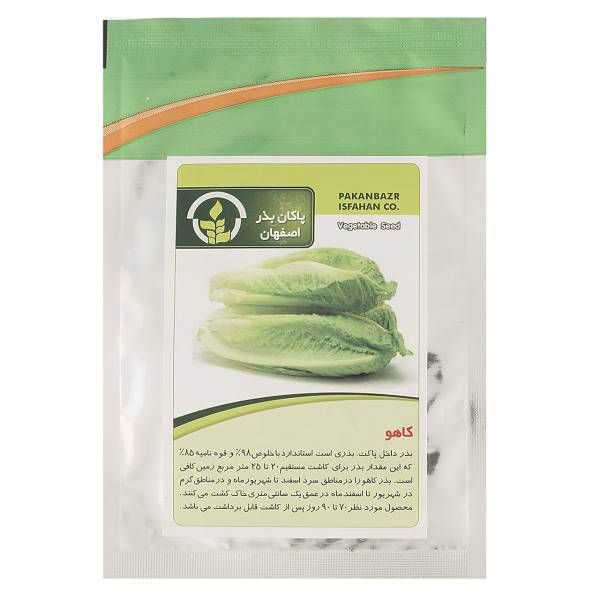 بذر کاهو پاکان بذر، Pakan Bazr Lettuce Seeds