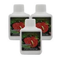 کود مایع گل آنتوریوم گرین گروت بسته 3 عددی - Green Growth Anthurium Liquid Fertilizer Pack Of 3