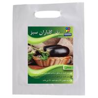 بذر بادمجان گلباران سبز - Golbaranesabz Eggplant-Seeds